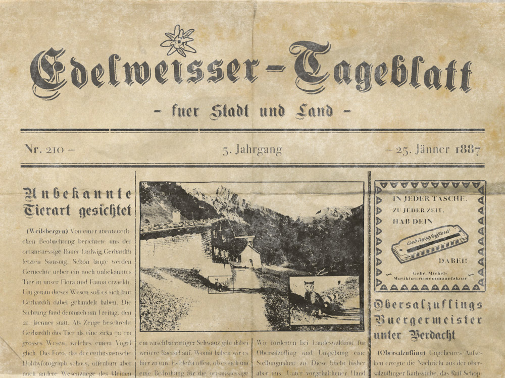 Wootodo Story web 6